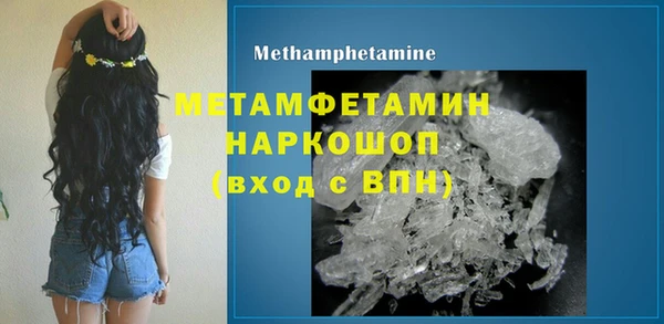 гидра Надым