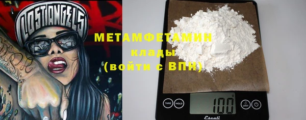 гидра Надым