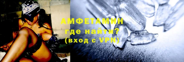 гидра Надым