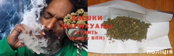 гидра Надым