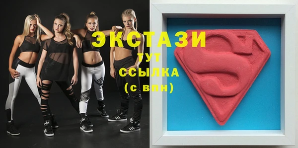 гидра Надым