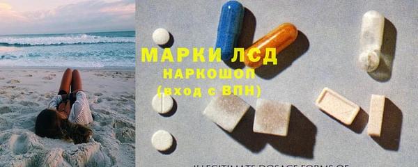 гидра Надым
